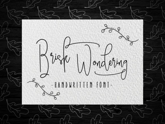 Brisk Wondering Font: Elegant Script for Web Design