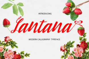 Lantana Font: A Modern Calligraphy Typeface for Editorial Design