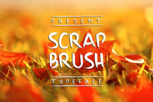 Scrap Brush Font: A Web Designer’s Layout Review