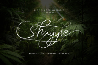Shaggie Font Review: Digital Layouts & UX