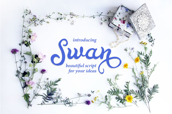 Swan Font: Elevating Campaign Visuals with Fluid Script