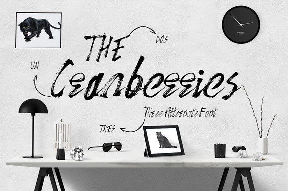 The Cranberries: A Versatile Script Font for Editorial Design