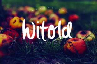 Witold: A Handbrushed Font for Modern Web Design
